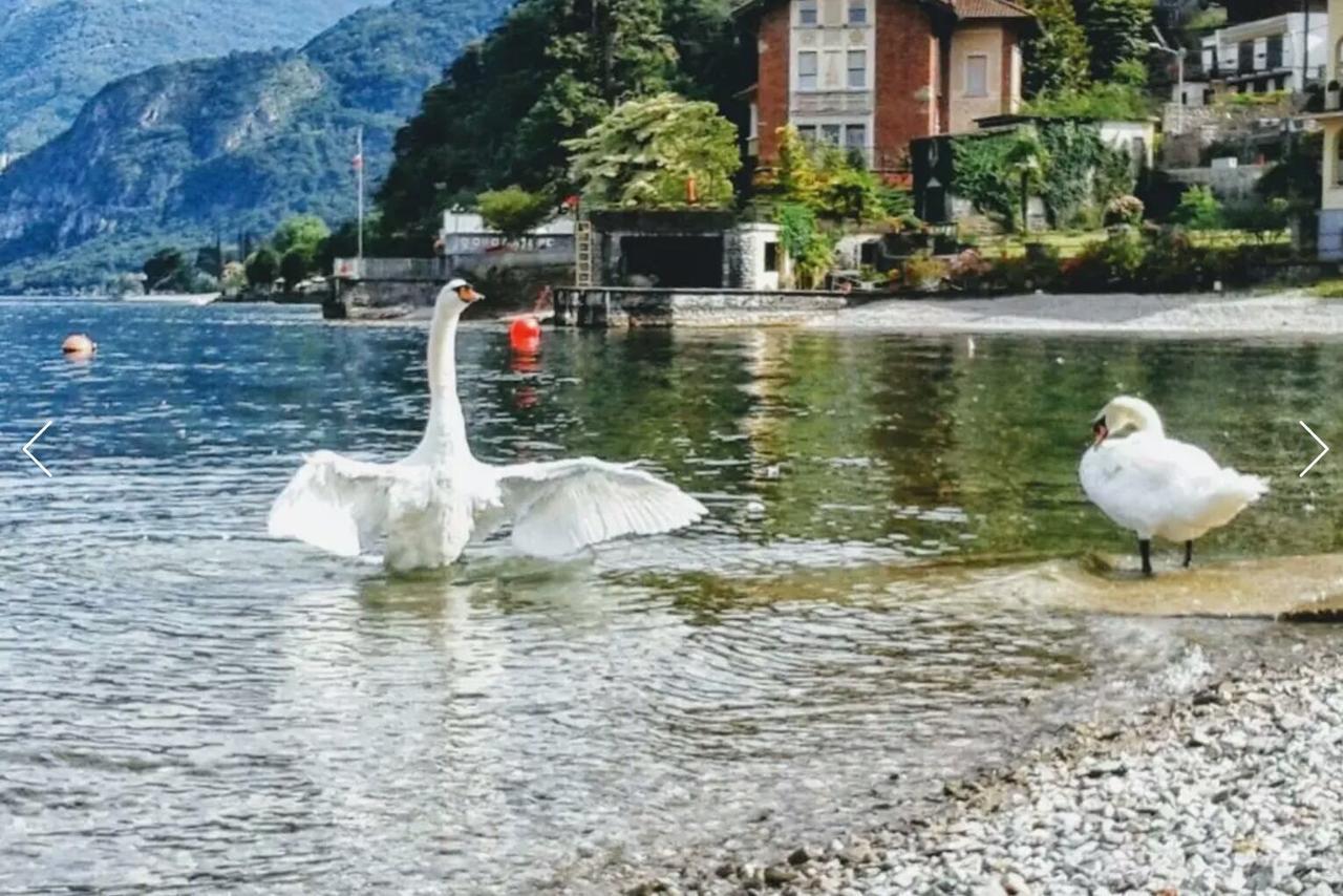 Le Grigne Guest House Oliveto Lario Esterno foto