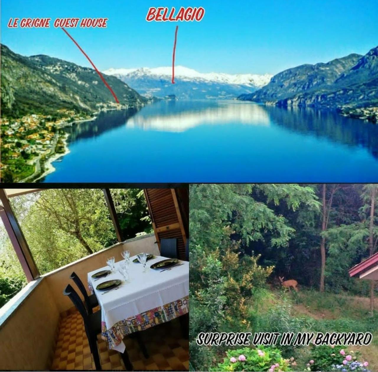 Le Grigne Guest House Oliveto Lario Esterno foto