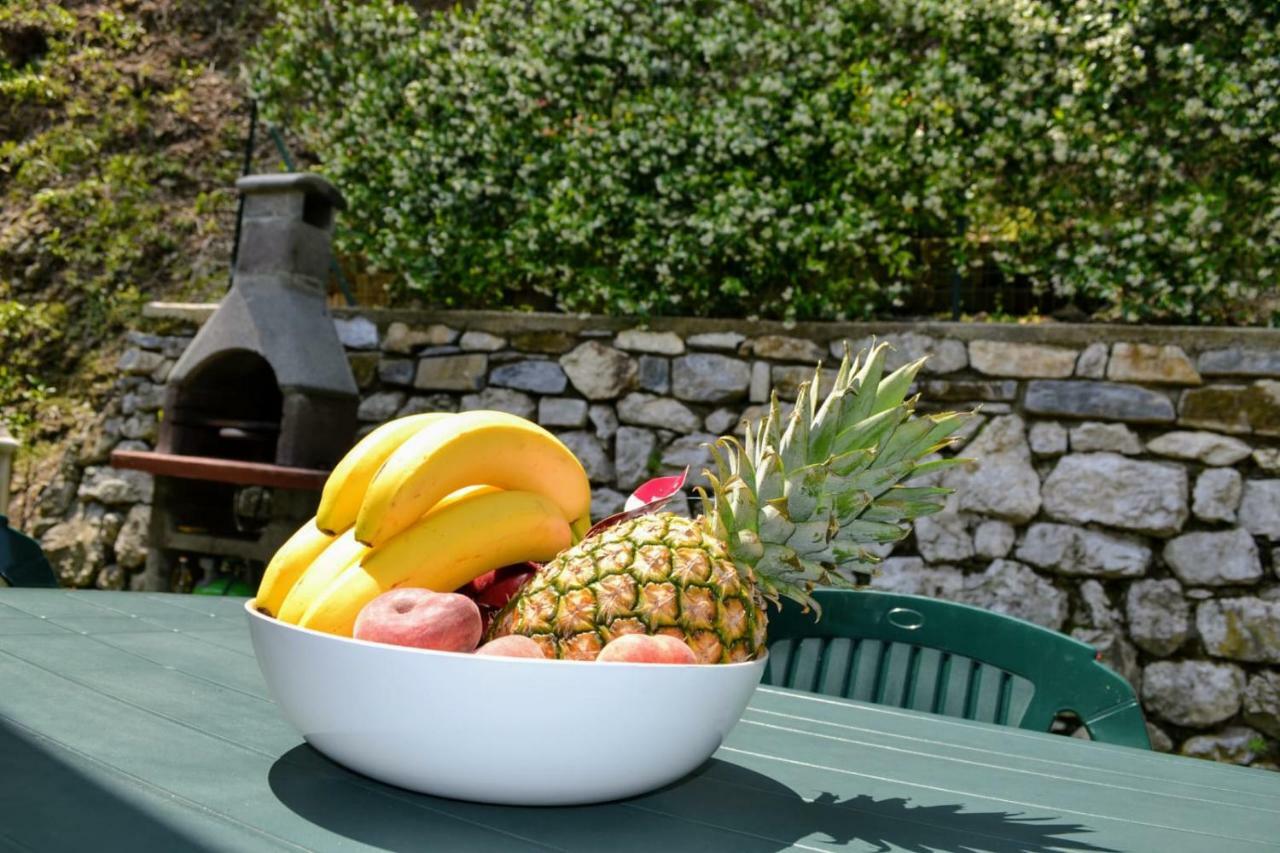 Le Grigne Guest House Oliveto Lario Esterno foto